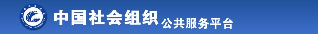 农村操B视频全国社会组织信息查询